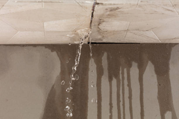 Professional Burst Pipe Cleanup technician working in Ruthton, MN